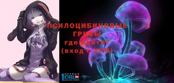 MDMA Горнозаводск