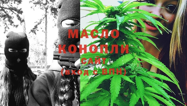 эйфоретик Горняк