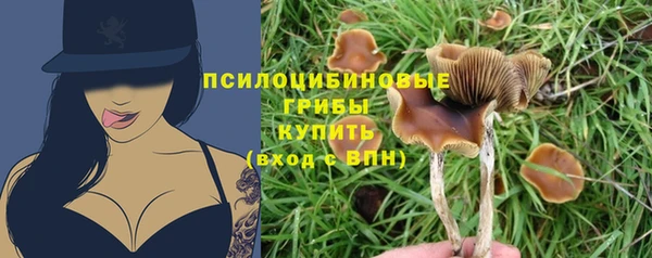 COCAINE Горно-Алтайск