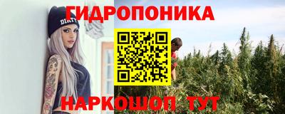 амф Лесосибирск