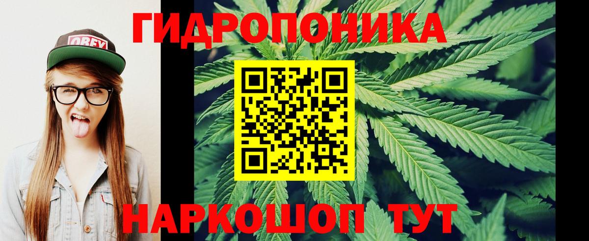 Железногорск  Канабис Amnesia  Вход с VPN  Бошки Шишки Ganja 
